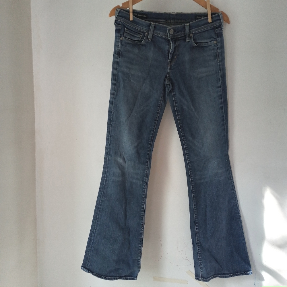 Citizens of Humanity 28 Ingrid 002 Low Waist Flare Jean